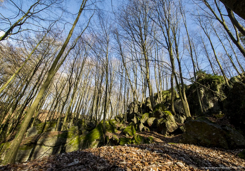 BS_6_3_Felsenmeer_Felsenmeer Hemer_Volker Speckenwirt_18.jpg